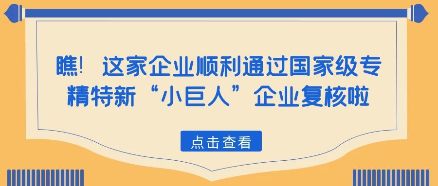 瞧！這家企業(yè)順利通過國家級專精特新“小巨人”企業(yè)復核啦